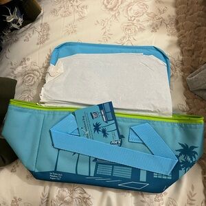 Trader Joe's Blue Insulated Tote Bag